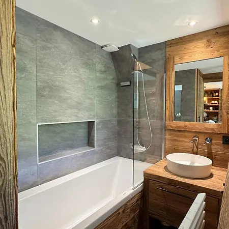 Résidence La Dent Du Villard *