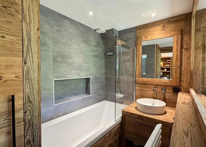 Résidence La Dent Du Villard *